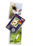 A4 Gloss Inkjet Photo Paper, 210 GSM, 20 Sheets (A4PG210-20S)